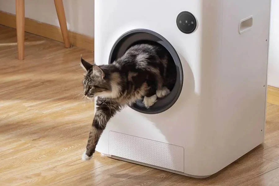 automatic kitty litter